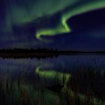 IMG_7731