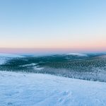 IMG_0531