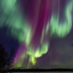 IMG_9085